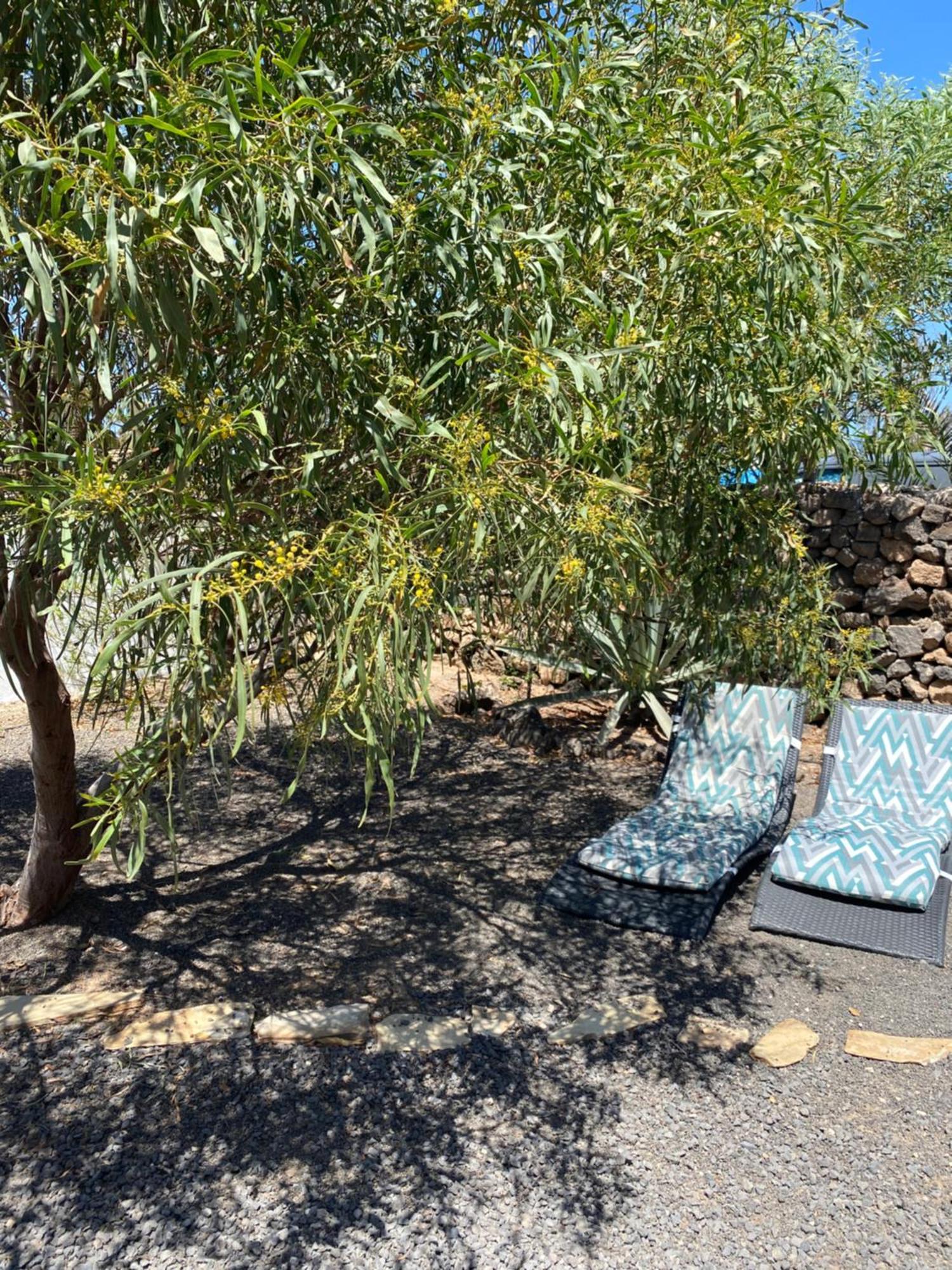 Orange House, Surf&Yoga Lajares Villa Екстериор снимка